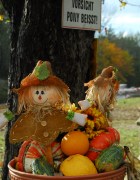 Foto: Peter Schöndorfer