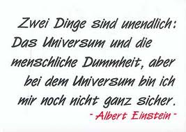 Dummheit Einstein
